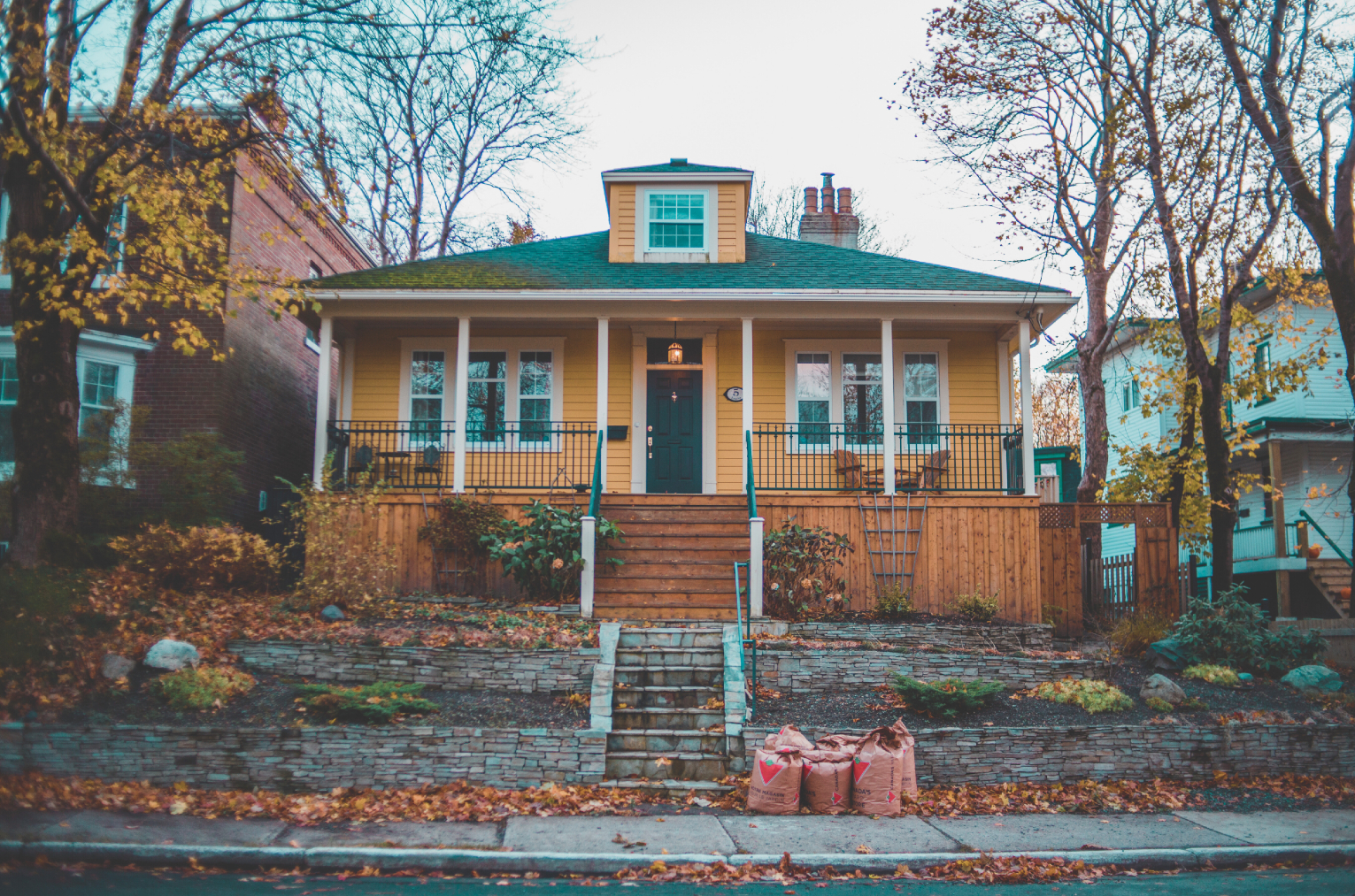 Untitled design (13)